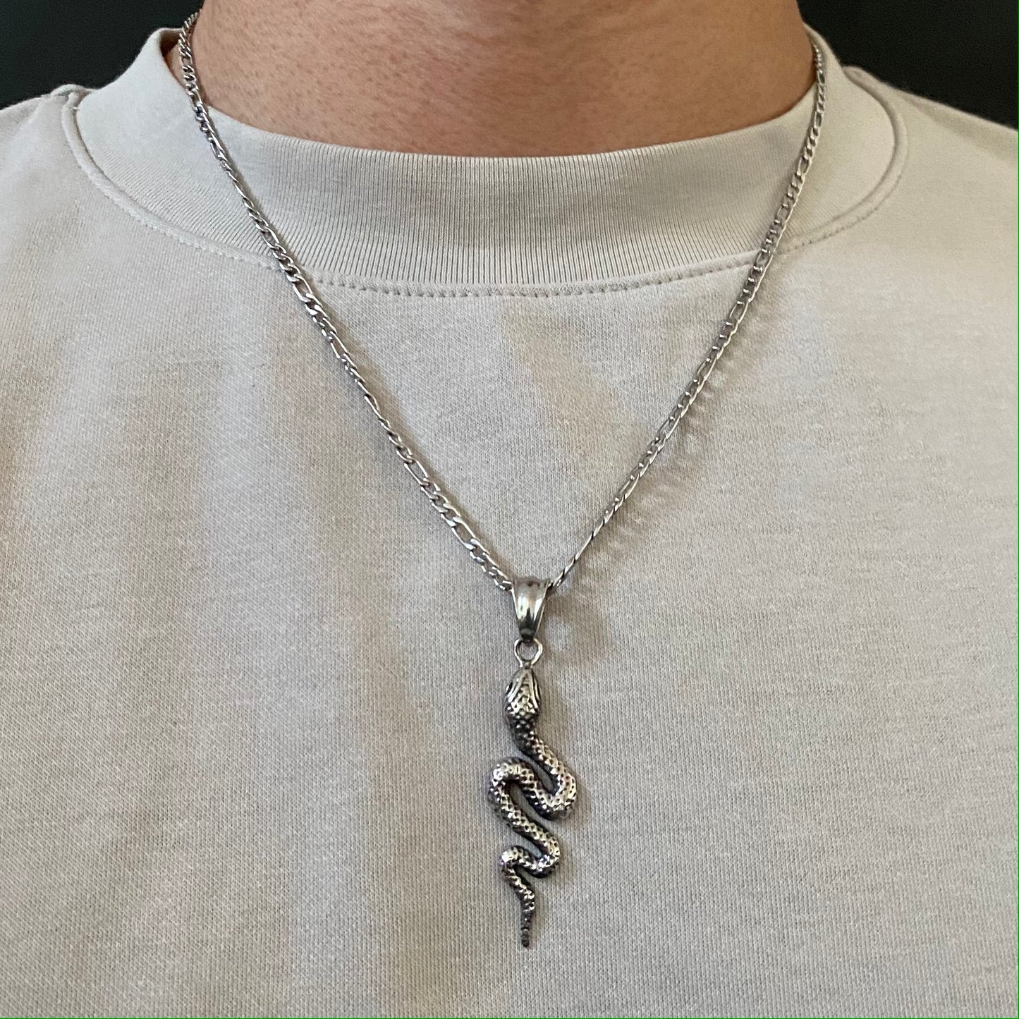 Snake Pendant with Chain