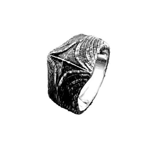 The Elder Ring