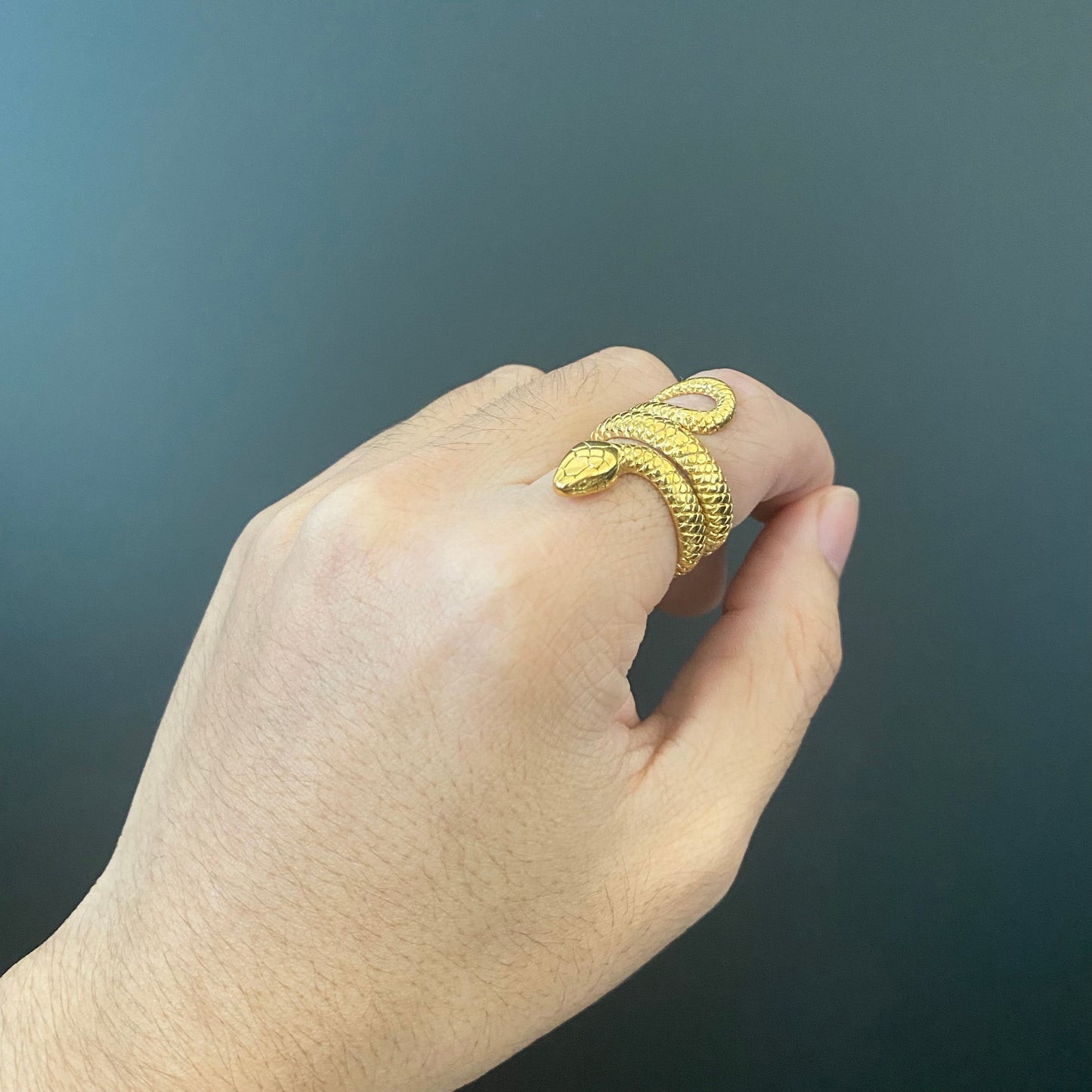 Gold Titanium Snake RIng