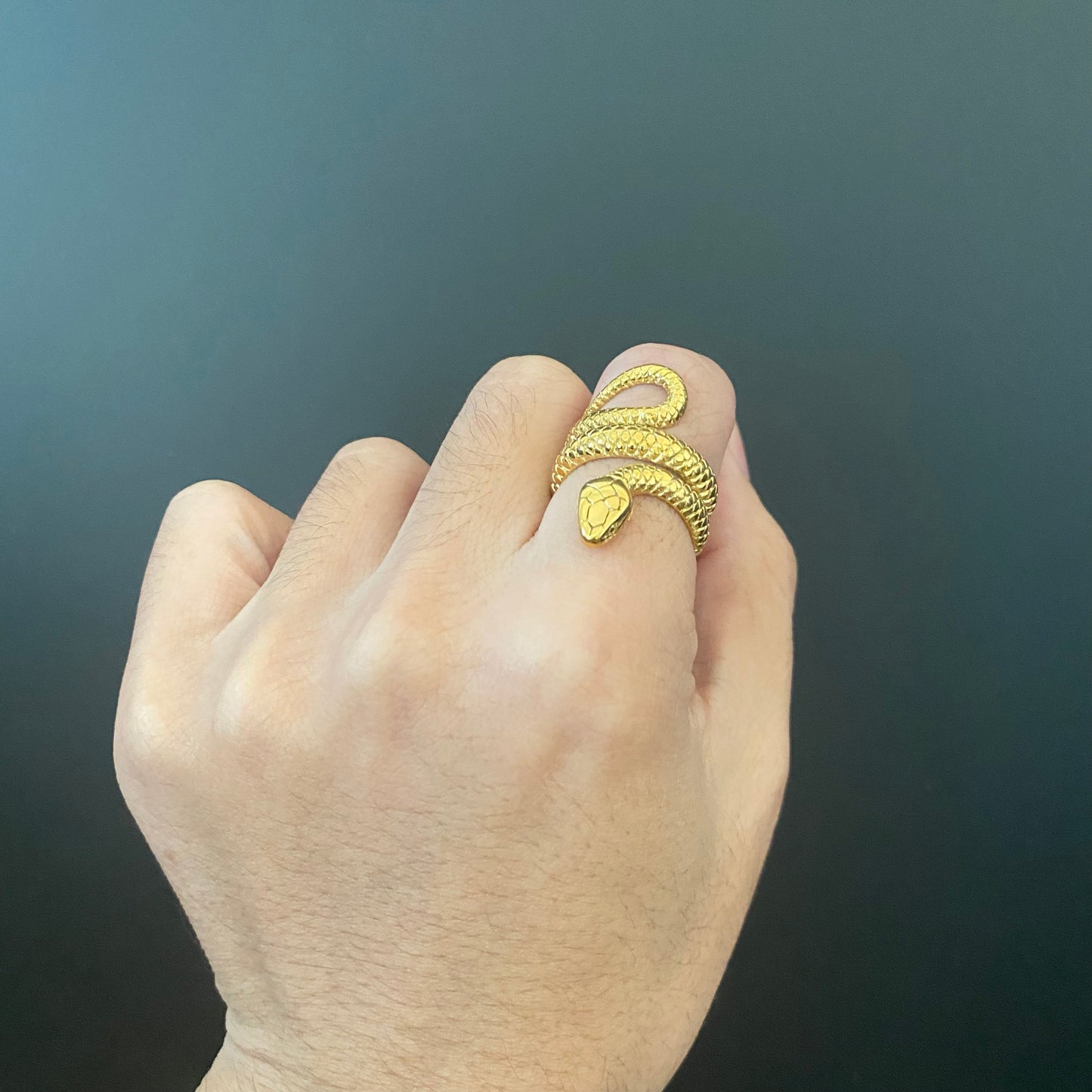 Gold Titanium Snake RIng