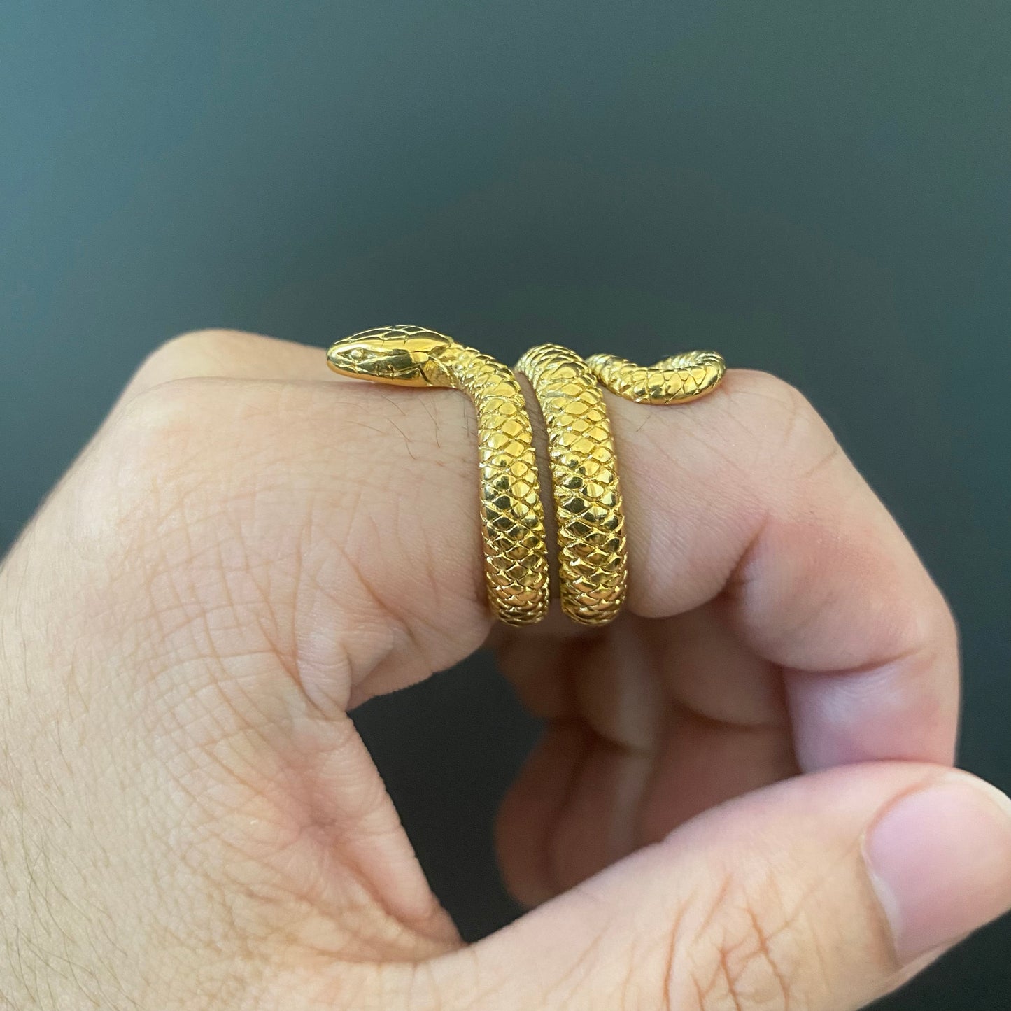 Gold Titanium Snake RIng