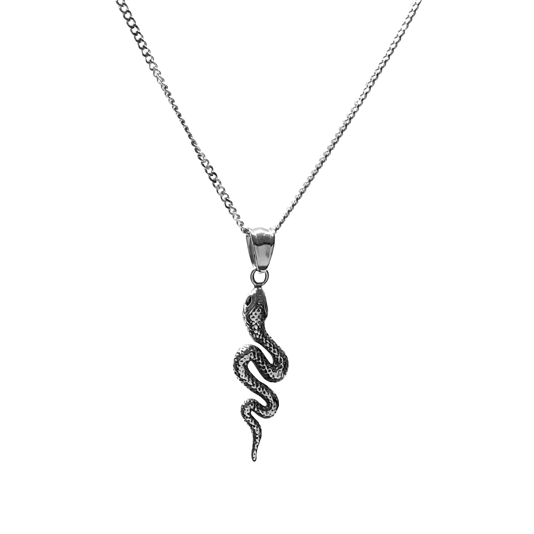 Snake Pendant with Chain