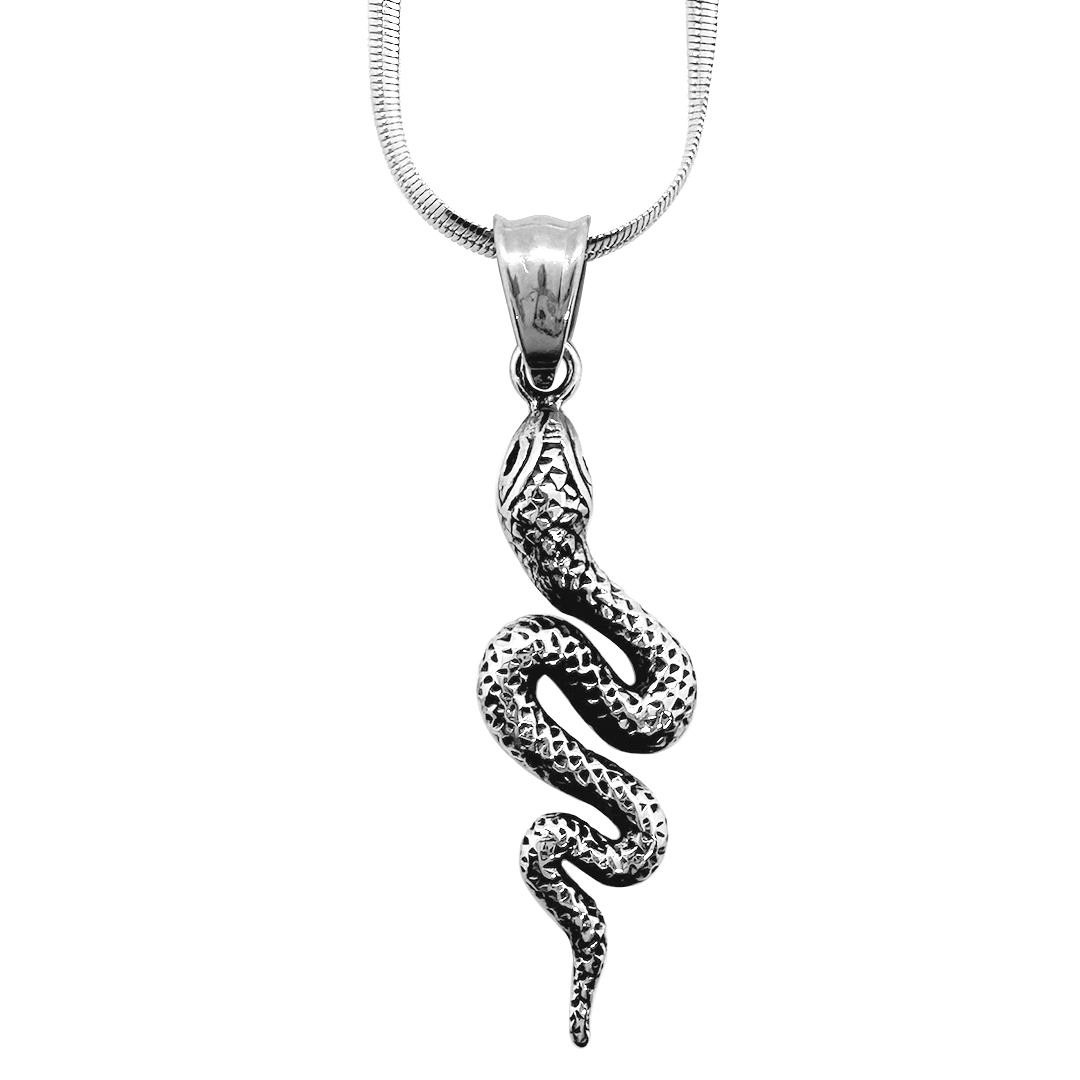 Snake Pendant with Chain